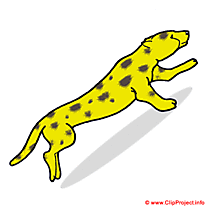 Guepard clipart gratuit