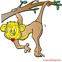 Macaque image gratuite
