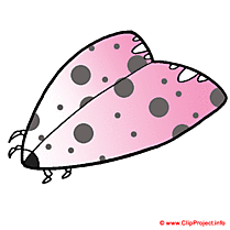 Papillon de nuit clipart gratuit