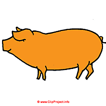 Porc clipart gratuit