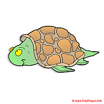 Tortue clipart gratuit