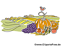 Champ légumes image gratuite – Automne illustration