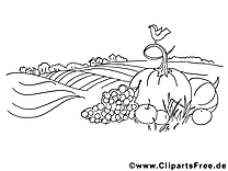 Coloriage illustration légumes – Automne clipart