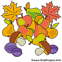 Fruits feuilles illustration – Automne images