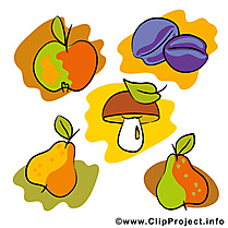 Fruits image gratuite – Automne clipart