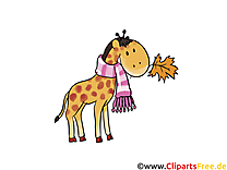 Girafe dessin à télécharger – Automne images