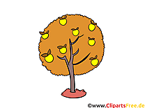 Images gratuites arbre – Automne clipart