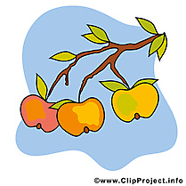 Pommes dessin – Automne cliparts à télécharger