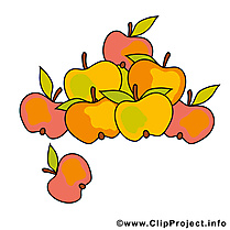 Pommes dessins gratuits – Automne clipart