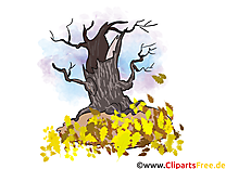 Sec arbre image gratuite – Automne illustration