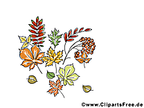 Sorbier feuilles dessin – Automne à télécharger