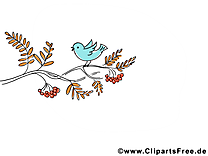 Sorbier image gratuite – Automne clipart