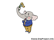 Éléphant dessins gratuits – Anniversaire clipart