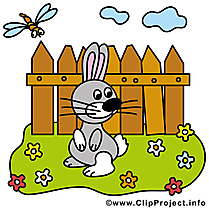 Lapin clipart – Ferme dessins gratuits