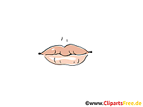 Lèvres clip art gratuit – Dessin dessin