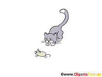 Souris chat dessin à télécharger – Ferme images