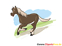 Animal clip art gratuit – Cheval dessin