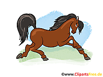 Animal images – Cheval clip art gratuit