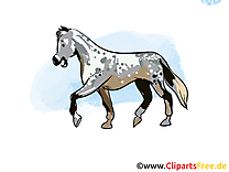 Cavale clip arts gratuits – Cheval illustrations