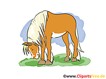 Clipart cheval dessins gratuits