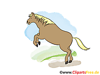 Dessin cheval cliparts à télécharger