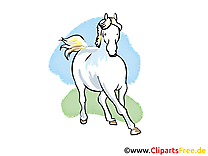 Galope illustration gratuite – Cheval clipart