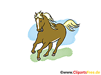 Galope images – Cheval clip art gratuit