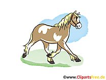 Illustration gratuite cheval clipart