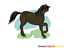 Images cheval dessins gratuits