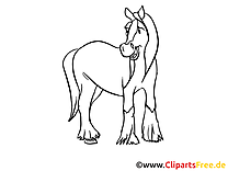 Images gratuites à colorier cheval clipart