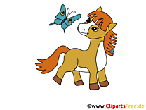 Petit cheval clip arts gratuits illustrations