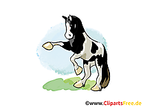 Sur ses pattes de derrière dessin – Cheval cliparts