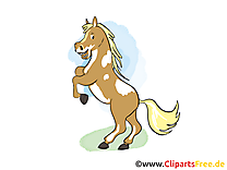 Sur ses pattes de derrière image gratuite – Cheval clipart