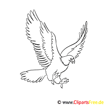 Aigle clipart gratuit – Animal à colorier