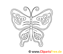 Coloriage papillon illustration – Animal à imprimer