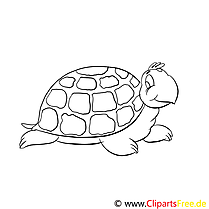 Coloriage tortue illustration à télécharger