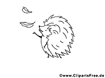 Hérisson clipart – Animal dessins à colorier