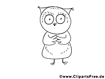 Hibou dessin – Coloriage animal à télécharger