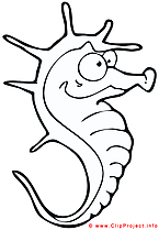 Hippocampe coloriage