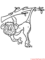 Singe coloriage