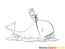 Baleine image – Coloriage animal illustration