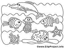 Poissons illustration – Animal à imprimer