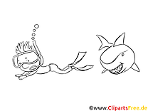 Requin clip art gratuit – Animal à imprimer