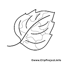 Feuille clipart – Automne dessins à colorier