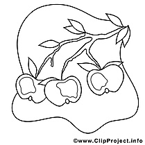 Pommes clip art gratuit – Automne à colorier