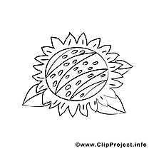 Tournesol dessin à télécharger – Automne à colorier