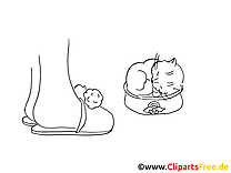Écuelle dessin – Coloriage chats à télécharger
