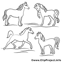 Chevaux dessin – Coloriage cheval à télécharger