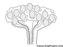 Arbre illustration – Divers à imprimer