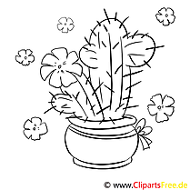 Cactus image à télécharger – Divers à colorier